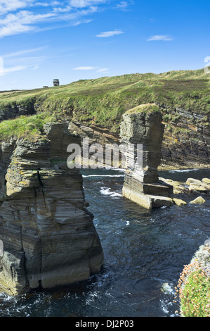 Dh Stanger Capo flotta delle Orkney pietra Cletts mare pile seacliffs Foto Stock