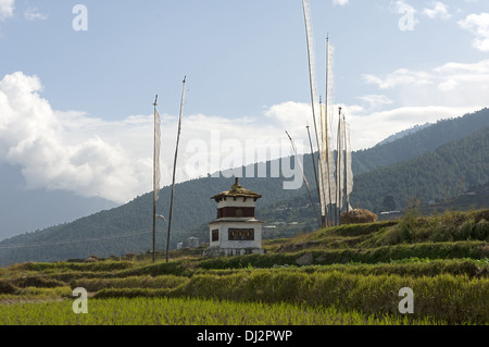 Riso terrazzati tenute con chorten, Bhutan Foto Stock