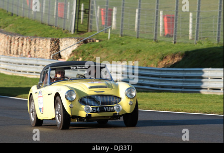 Il Beaujolais eseguire set off da Brands Hatch con una 1959 Austin Healey Foto Stock