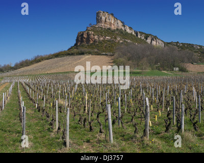 La roccia di Solutré, un importante punto di riferimento della regione, si affaccia sui vigneti di Pouilly Fuissé nel sud della Borgogna, Francia Foto Stock