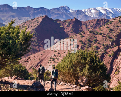 Due escursionisti maschio in M'Goun regione delle montagne Atlas in Marocco, Africa del Nord Foto Stock