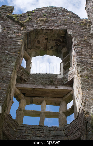 Una vista del castello di Laugharne nel Carmarthenshire, Galles del Sud. Foto Stock