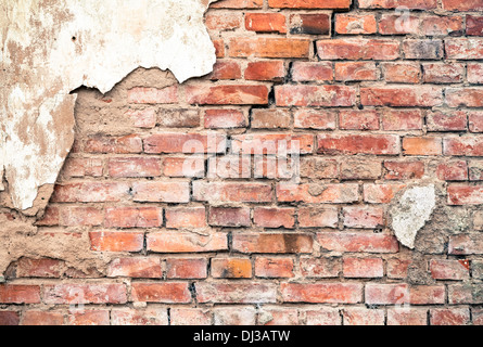 Vecchio muro di mattoni Foto Stock