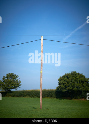 Palo del telegrafo nel campo REGNO UNITO Foto Stock