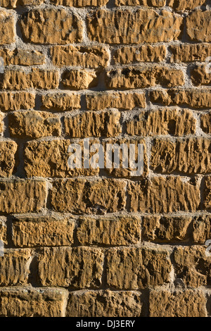 Close up di cotswold pietra calcarea parete in luce laterale che mostra la struttura Foto Stock