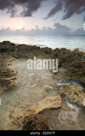 La luce del tramonto e roccia calcarea sulla costa di Isola di Cozumel, Messico. Foto Stock