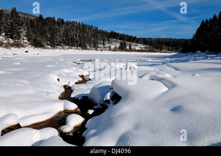 Neve su Schwarzenbach Foresta Nera in Germania Foto Stock