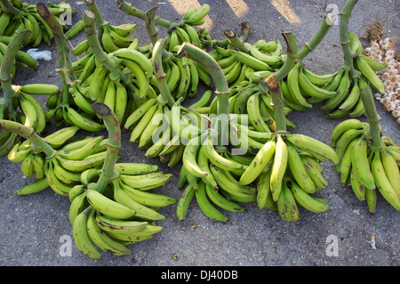 Mercato Agricolo, Gibara, Cuba Foto Stock