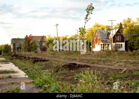 La Farnsworth comunità giardino: una lunga tradizione di agricoltura urbana sforzo a Detroit. La foto è stata scattata in ottobre 2013. Foto Stock