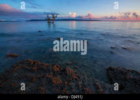 Alba alla spiaggia Vijaynagar (Havelock Island - Andaman) Foto Stock