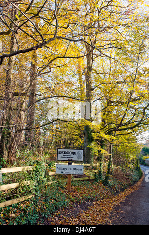 Villaggio di Wedmore segno dal Lascot collina Wedmore Boschi Foto Stock