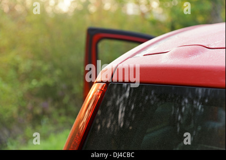 In auto la luce del sole Foto Stock