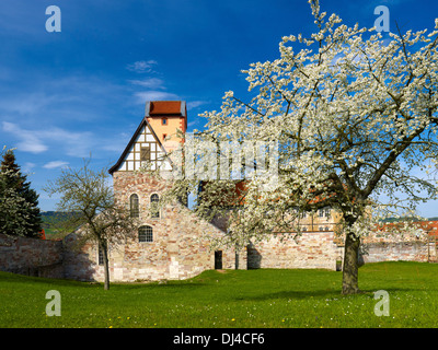 Basilka romanica sul Castello Breitungen, Turingia, Germania Foto Stock