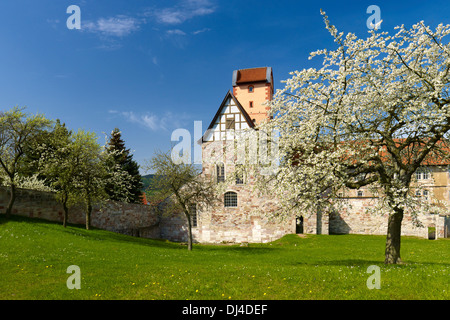 Basilka romanica sul Castello Breitungen, Turingia, Germania Foto Stock