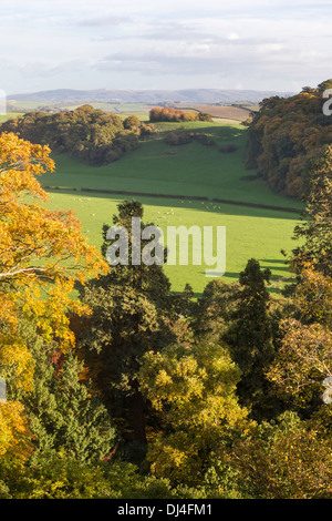 Autunno in tutta Dunster Park e le lontane colline di Quantock, Castello di Dunster Somerset, Inghilterra, Regno Unito Foto Stock