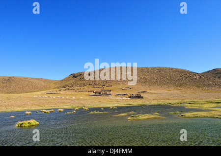 Fattoria solitario nella pampa peruviana Foto Stock