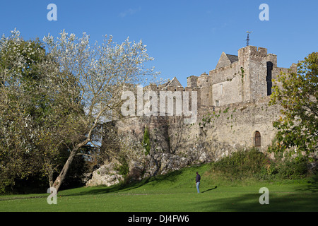 Castello in rovina, Cahir, Co. Tipperary, Repubblica di Irlanda Foto Stock