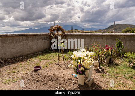 Fiori decorare tombe in un piccolo cimitero in memoria di un membro della famiglia durante il giorno dei morti festival noto in spagnolo come Día de Muertos Ottobre 30, 2013 in Teotitlan, Messico. Foto Stock