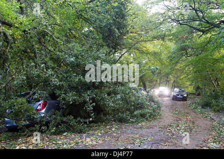 Danni dopo il 27 ottobre 2013 Storm - Queens Legno - Haringey - Londra Foto Stock