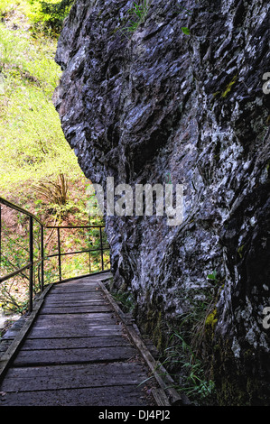 Ponte a piedi nel canyon di Ravenna Foto Stock