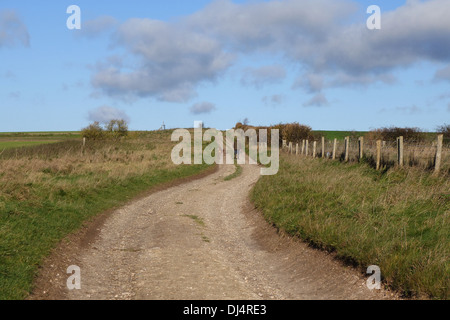 Il Ridgeway National Trail, vicino ad Avebury, Wiltshire, Inghilterra, Regno Unito Foto Stock