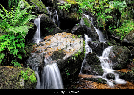 Acqua attraverso e oltre le pietre Foto Stock