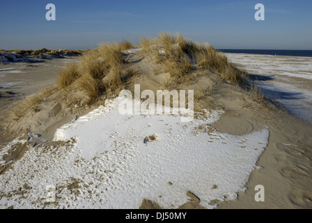 Sanddunes a Sylt Foto Stock