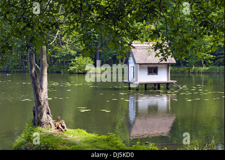 Casa d'anatra sulle sponde di un lago in un parco Foto Stock