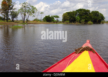 Amazon escursione sul fiume Foto Stock