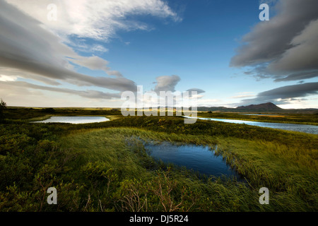 Lago Myvatn, pseudocraters nel nord dell'Islanda Foto Stock