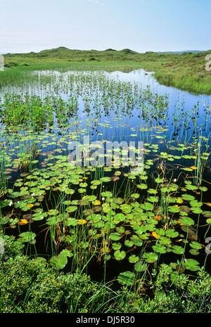 Lochain Dubha vicino a Broadford, Isola di Skye, Ebridi Interne, Highland, Scotland, Regno Unito. Foto Stock