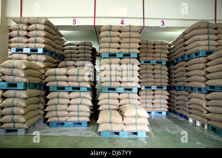 Impilati di riso sacchi su pallet in plastica in magazzino. Foto Stock