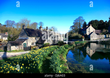 La molla narcisi dal villaggio verde e uno stagno al villaggio Tissington, Parco Nazionale di Peak District, Derbyshire, Inghilterra, Regno Unito. Foto Stock