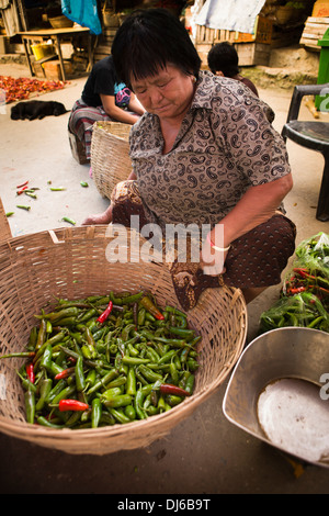 Il Bhutan, Punakha, villaggio Lobesa bazaar, donna ordinamento di grandi rossi e peperoncini verdi Foto Stock