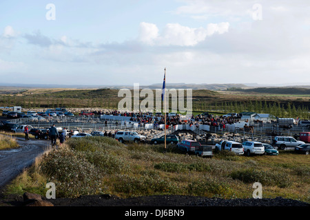 Pecore round-up a Reykholt in autunno a sud dell'Islanda. Dopo il round-up le pecore sono ordinati in penne e raccolti dagli agricoltori locali. Foto Stock