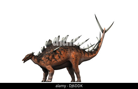 Kentrosaurus isolati su sfondo bianco Foto Stock