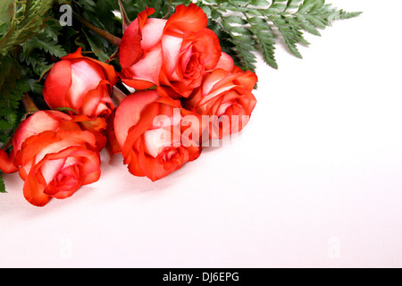 Cinque rose rosse con spazio per la scrittura come sfondo Foto Stock