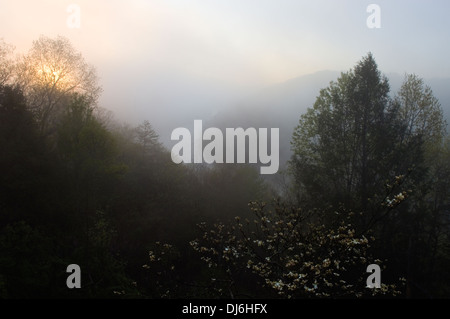 Tramonto su Nebbia avvolta Cumberland River a Cumberland Falls State Park in Kentucky Foto Stock