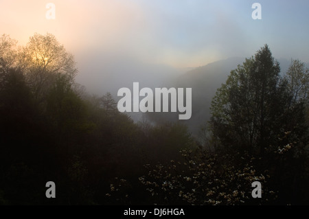 Tramonto su Nebbia avvolta Cumberland River a Cumberland Falls State Park in Kentucky Foto Stock