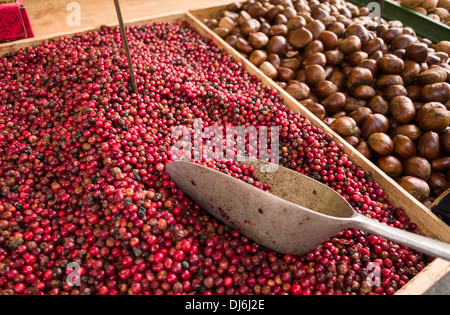 Preiselbeeren (preisel bacche) per la vendita da parte del convogliatore. Questi mirtillo palustre-come le bacche sono più piccoli. Foto Stock