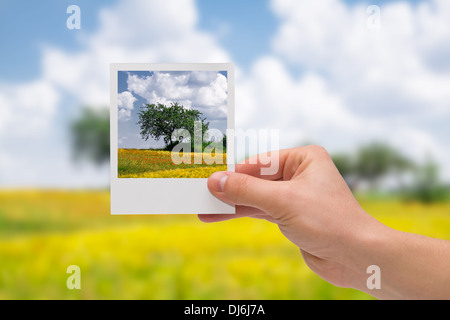 Azienda foto istantanea su un sfondo di autunno. Foto Stock