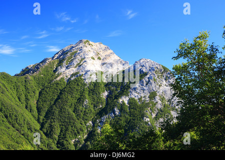 Giappone Alpi Mt. Kaikomagatake in estate, Yamanashi, Giappone Foto Stock