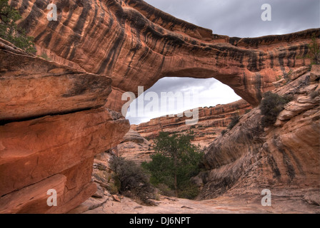 Sipapu Bridge ponti naturali monumento nazionale USA Utah Foto Stock