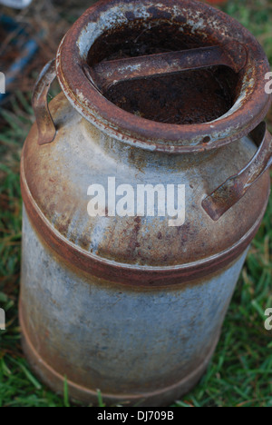 Vecchio latte può seduto sull'erba Foto Stock