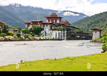 Punakha Dzong,la testa del clero di Bhutan con il suo entourage di monaci buddisti trascorrere l'inverno in questo Dzong,dintorni Foto Stock