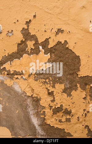 Telaio completo di prendere un vecchio muro di pelatura Foto Stock