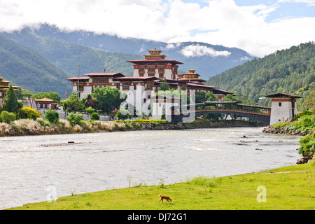 Punakha Dzong,la testa del clero di Bhutan con il suo entourage di monaci buddisti trascorrere l'inverno in questo Dzong,dintorni Foto Stock