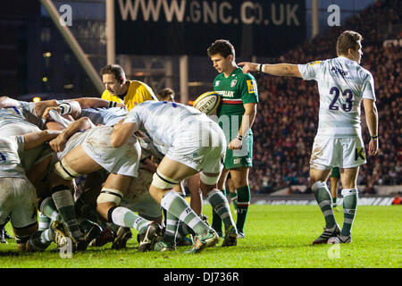 Leicester, Regno Unito. 23 Nov, 2013. Darren ALLINSON (London Irish) grida istruzioni a un pacchetto di mischia durante la Aviva Premiership Rugby Union fixture tra Leicester Tigers e London Irish da Welford Road. Credito: Azione Sport Plus/Alamy Live News Foto Stock