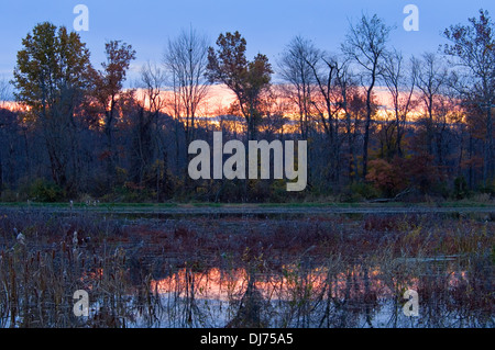 Autunno tramonto a Muscatatuck National Wildlife Refuge in Jennings County, Indiana Foto Stock