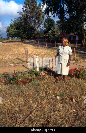 Mangu Village Kenya la signora Wangari Kamande giardini di irrigazione a scuola Foto Stock